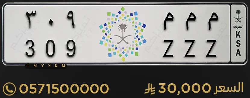لوحة خصوصي مميزة م م م 309 للبيع