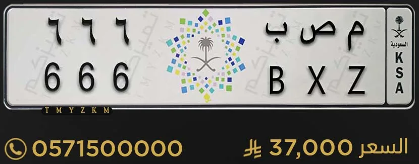 لوحة سيارة خصوصي م ص ب 666 للبيع