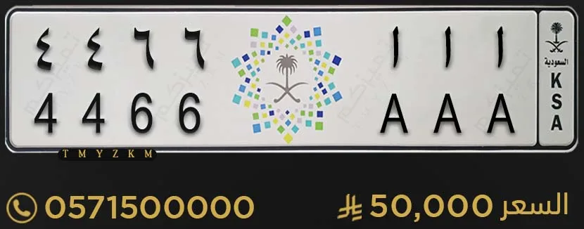 لوحة خصوصي مميزة ا ا ا 4466 للبيع