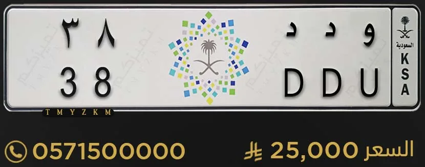 لوحة سارة مميزة و د د 38 للبيع