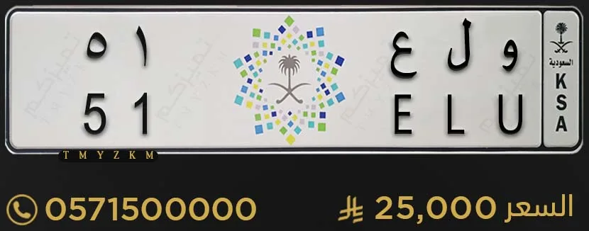 لوحة سارة مميزة و ل ع 51 للبيع