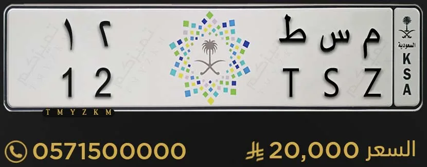 لوحة خصوصي مميزة م س ط 12 للبيع